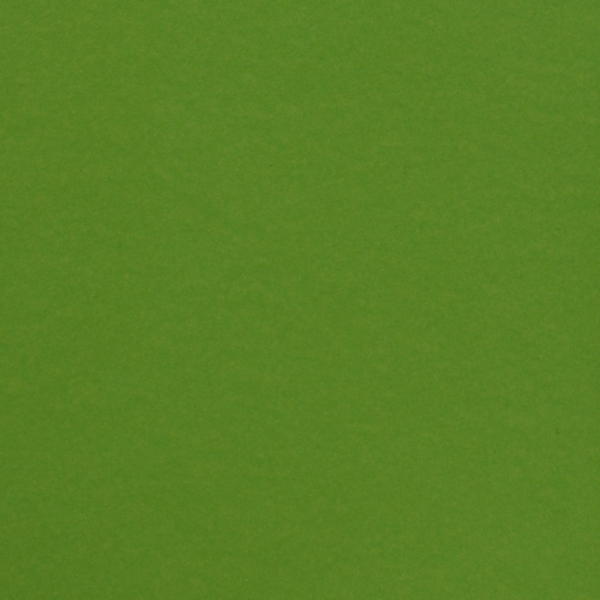 Cardstock Bastelkarton, glatte Oberfläche, 216g/m², 30,6cm x 30,6cm, Frog