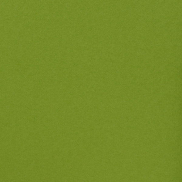 Cardstock Bastelkarton, glatte Oberfläche, 216g/m², 30,6cm x 30,6cm, Lime