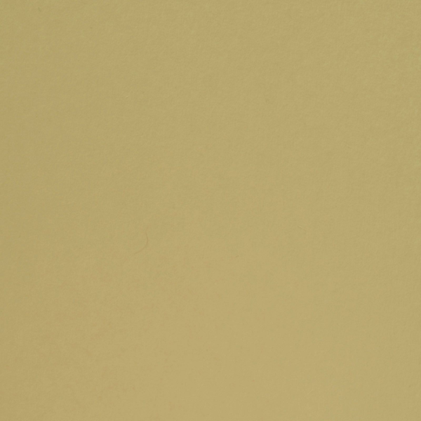 Cardstock Bastelkarton, glatte Oberfläche, 216g/m², 30,6cm x 30,6cm, Pudding
