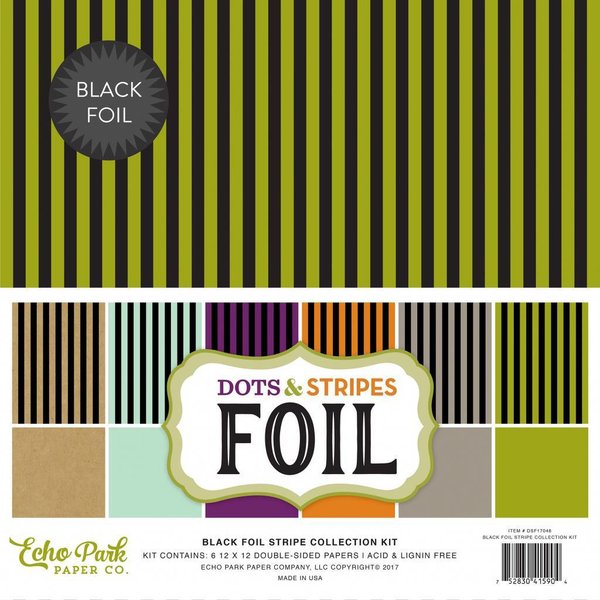 Echo Park Black Foil Collektion, Stripes 30,5x30,5cm